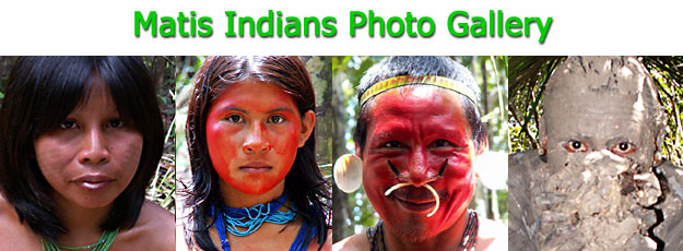 Photographic Gallery | Matis Indians