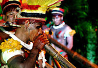 Indígenas del Xingu Flautas