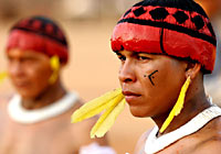 Xingu Facial Painting