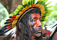 Amazonian Indian Chief