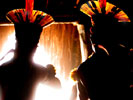 Xingu Native Feather Headdress