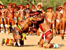 Xingu Lucha Huka-Huka 