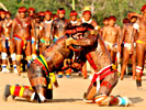 Xingu Huka Huka Wrestling