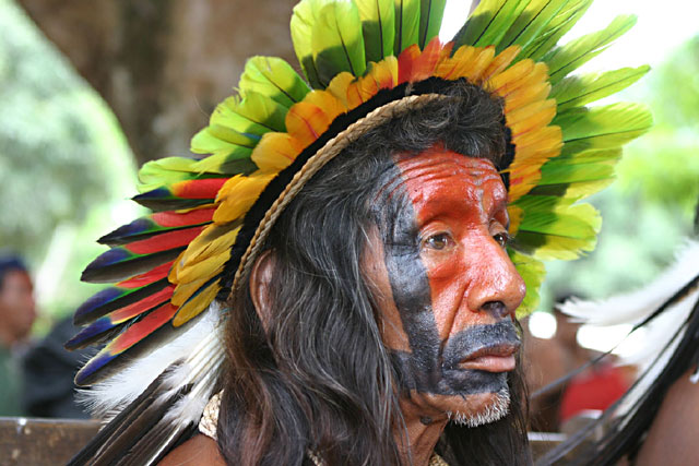 Amazon Chief